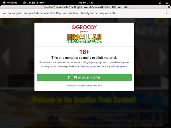 Brazilian Transsexuals Clips4sale Brazilian Transsexuals Clips4sale