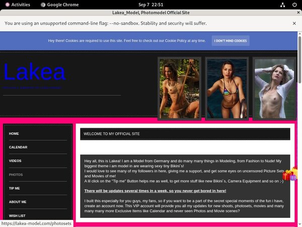 Free Accounts On Lakea_Model