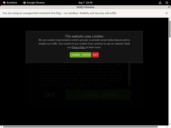 Hollys Hunnies Promo