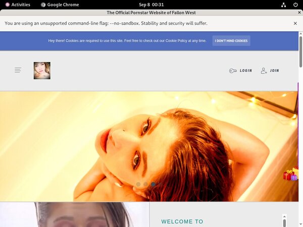 How To Access FallonWest
