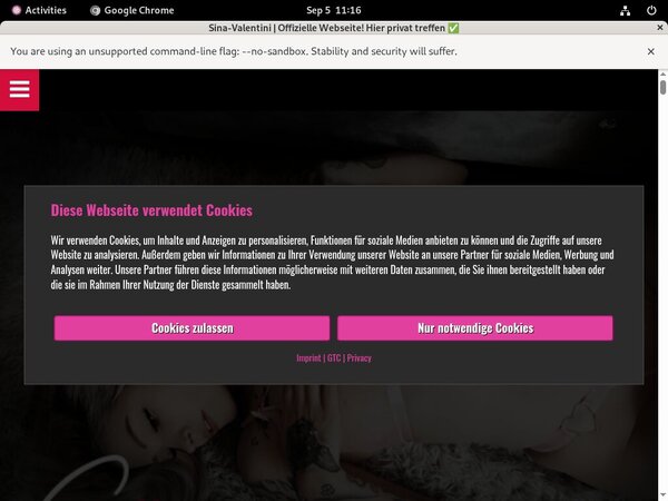 Premium Sina Valentini Accounts