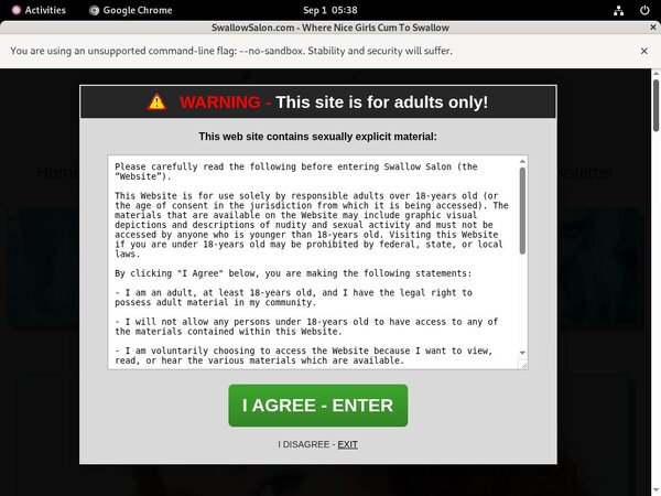 Active Swallowsalon Passwords