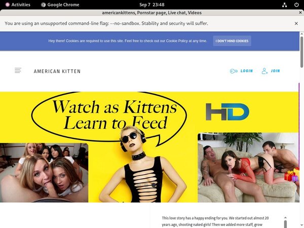 [Image: Americankittens-Free-Pass.jpg]