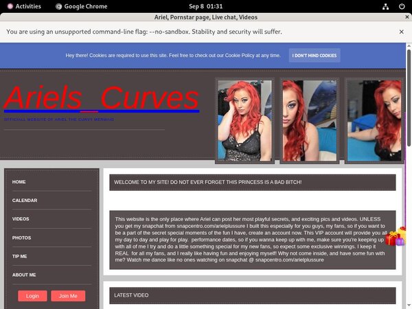 Ariel Working Account