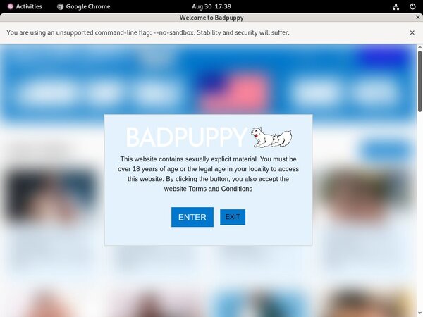 Bad Puppy Network Login
