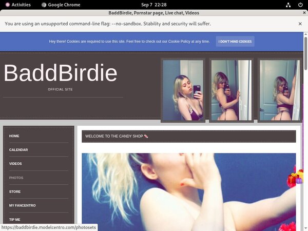 BaddBirdie Pro Biller Page