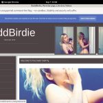 BaddBirdie Promos
