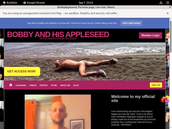 BobbyAppleseed Website Password