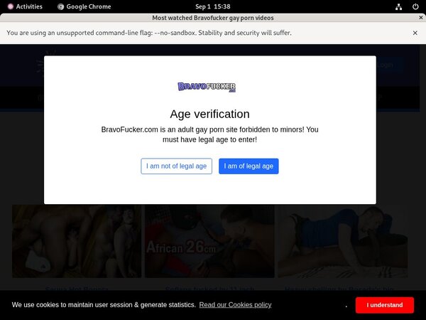 Bravo Fucker Valid Password Bravo Fucker Valid Password