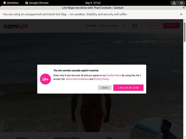 Camlust.com Accounts Passwords