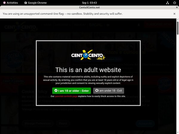 Cento X Cento Discount Logins