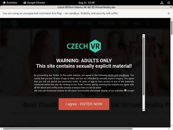 Czech VR Porn Discount