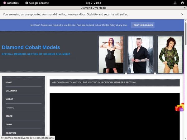 DiamondDivaMedia Site Rip Dl