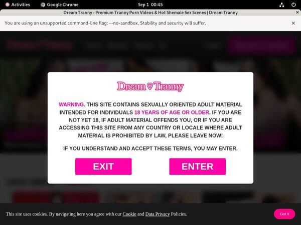Dream Tranny Coupon Code