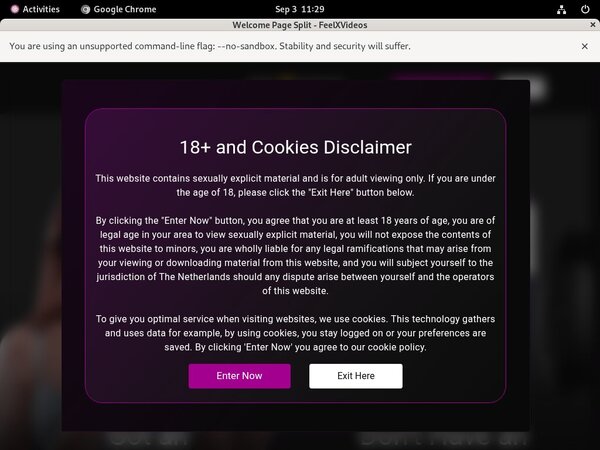 Feelxvideos.com Renew