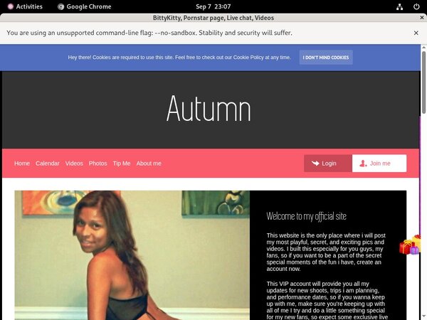 Free Accounts BittyKitty