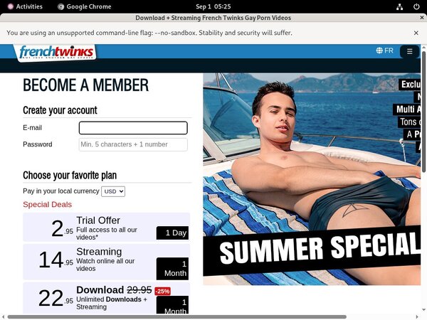 Free French-twinks.com Accounts