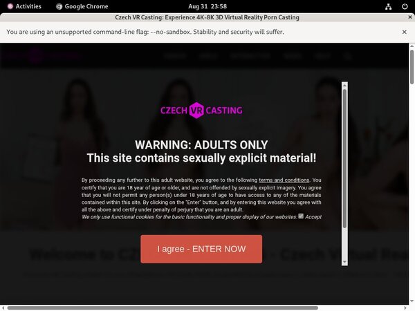 Free Full Czech VR Casting Porn