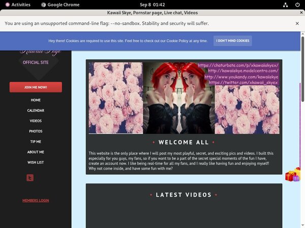 Free Kawaii Skye Passwords 2018