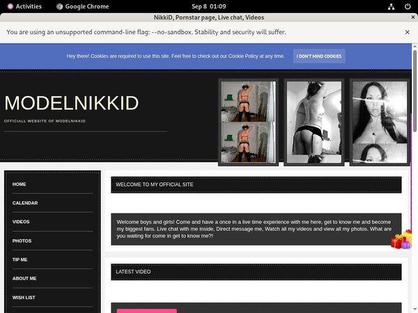 Free ModelNikki Account Password