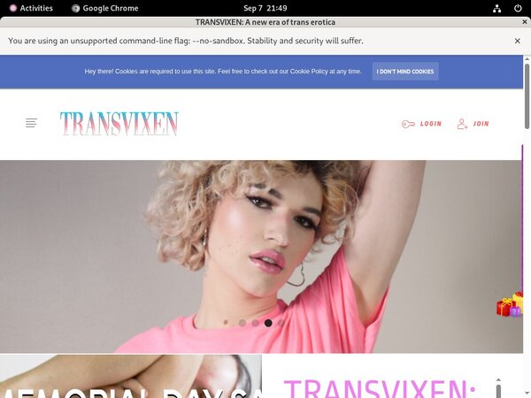 Free Transvixen.com Hacked Passwords