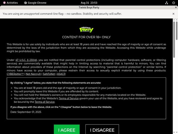 Free Twinkboysparty.com Logins