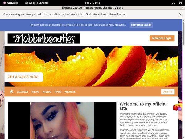 FreeEngland Couture Password