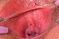 Gape My Pussy Full Episodes s0
