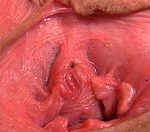 Gapemypussy Real Accounts