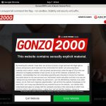 Gonzo 2000 Checkout Form
