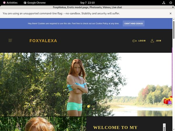 How Much Does FoxyAleksa Cost How Much Does FoxyAleksa Cost