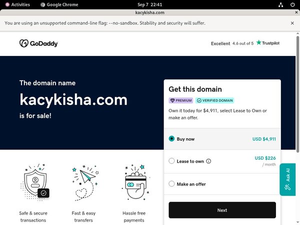 How Much Does Kacykisha.com Cost