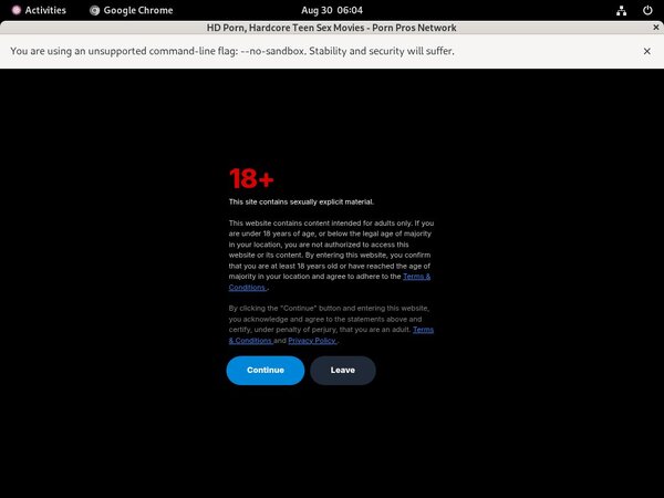 How To Access Pornprosnetwork