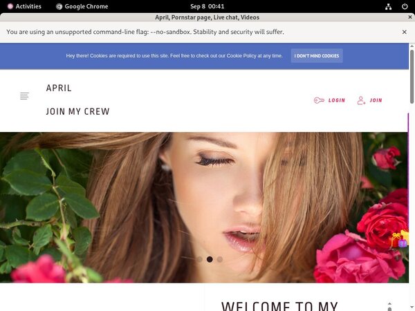 Ladyapril.modelcentro.com Reduced Rate