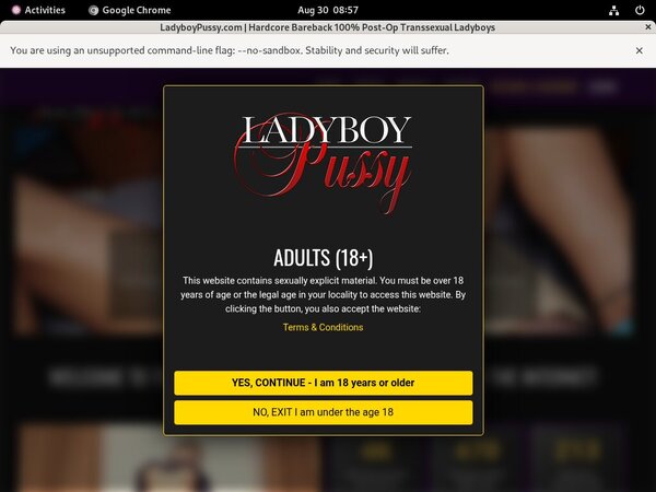 Ladyboypussy Payment Ladyboypussy Payment
