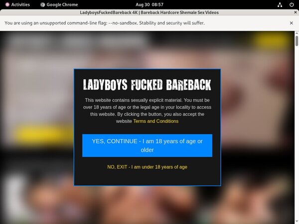 Ladyboysfuckedbareback.com Discount Code