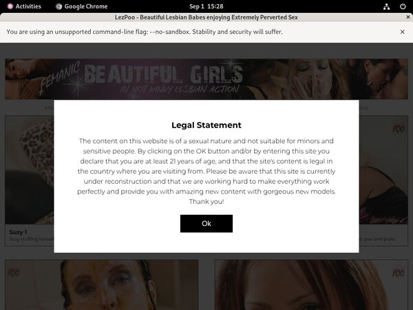 Lez Poo Discount Logins