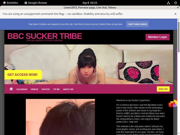 Linxer2013.modelcentro.com Free Trial Option