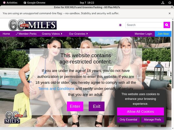 Login For 60 Plus MILFs