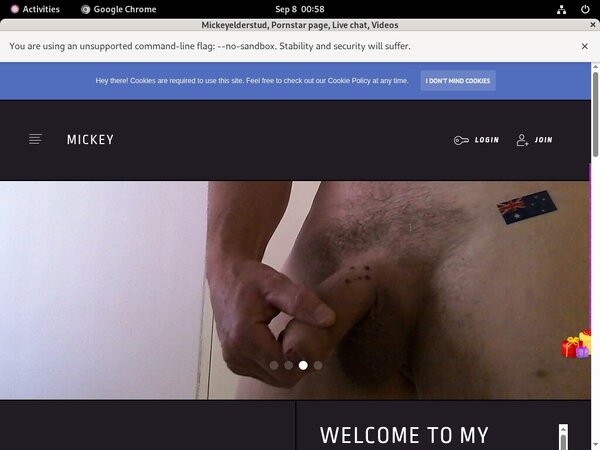 Mickeyelderstud Premium Accounts Free