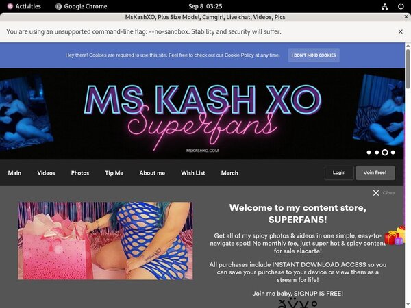 MsKashXO Webcams