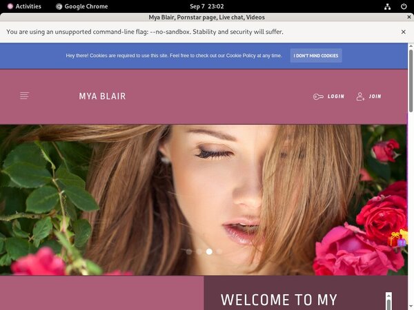 Myablair.modelcentro.com Paypal Options