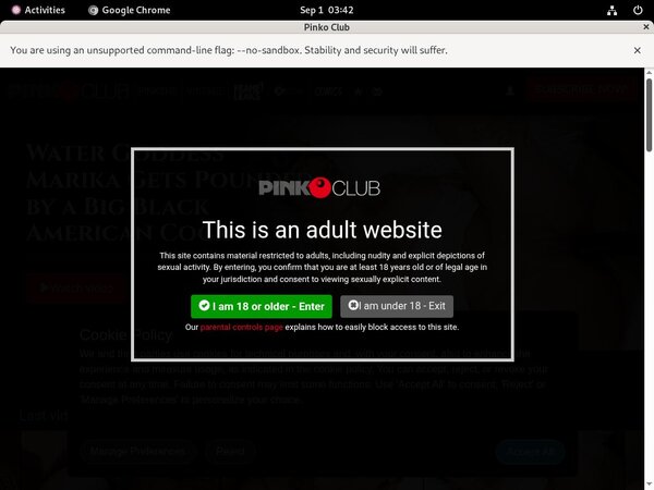 Site Rip Pinkoclub