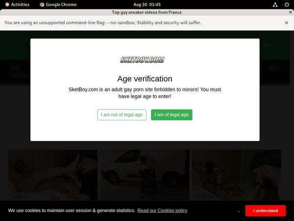 Sket Boy Website Password