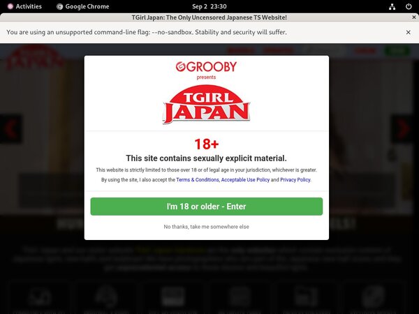 Tgirljapan Accounts Working