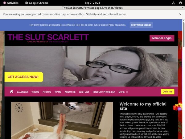 The Slut Scarlett Hack Login