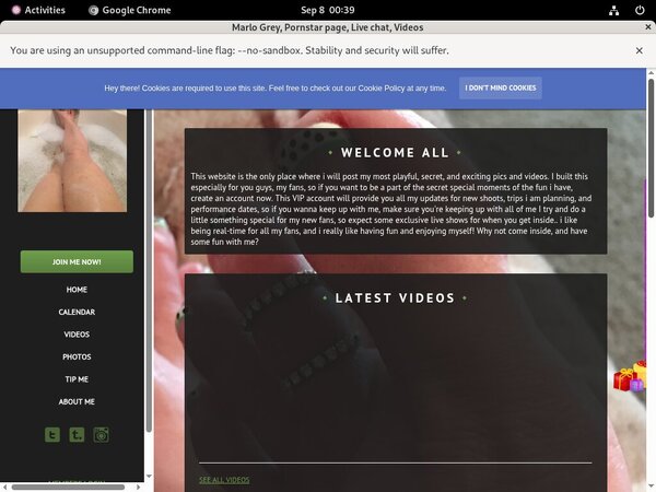 Trial Marlo Grey Account