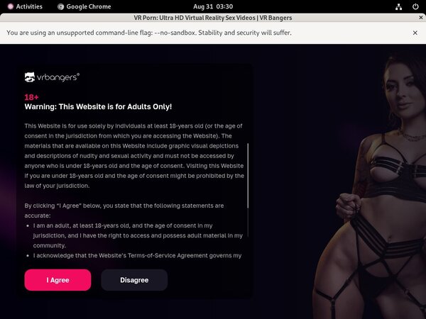 VR Bangers Porn Passwords