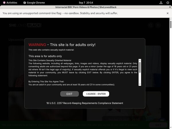 Film She Loves Black