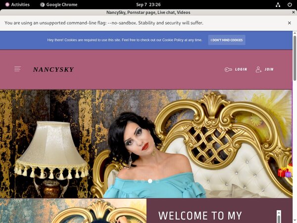 Nancysky.modelcentro.com Payment Options